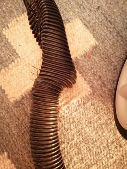 Photo of free Morphy Richards vacuum (Potters Bar EN6) #1