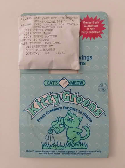 Photo of free Kitty Greens Cat Grass Seeds (Chestnut Hill, Newton) #1