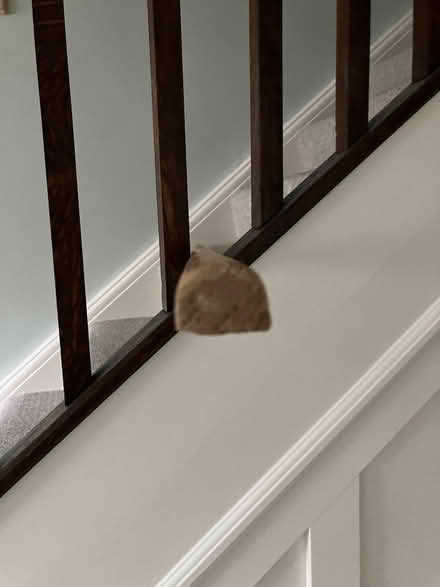 Photo of free Wooden pole (Skipton BD23) #3