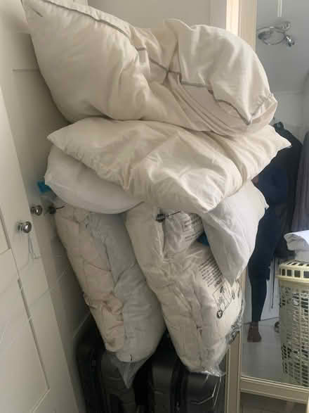 Photo of free Old pillows, cushions and duvet (Harold Hill RM3) #1