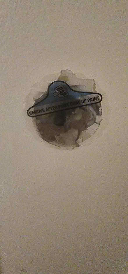 Photo of Paint color cream (Redwood City) #1