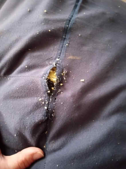Photo of free Blue-Large Bean Bag (20879) #3