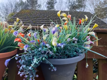 Photo of free Plastic flowers hanging baskets (West Moor NE12) #2