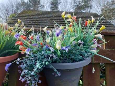 Photo of free Plastic flowers hanging baskets (West Moor NE12) #2
