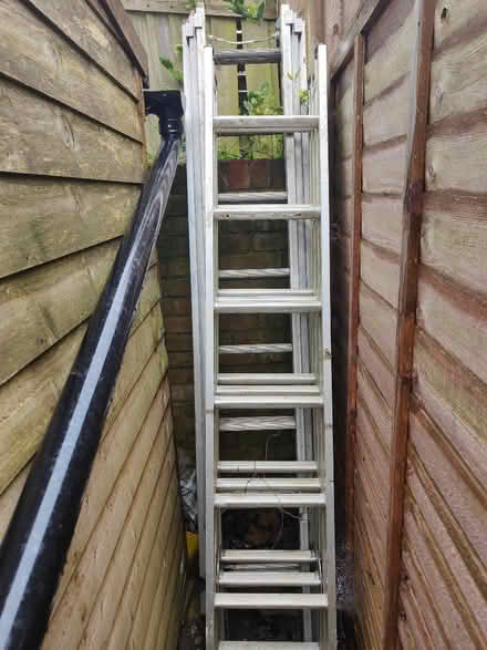 Photo of free Ladders (CT14) #1
