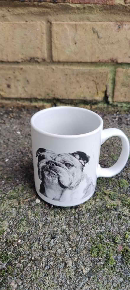 Photo of free I'm no mug, mug (OX11) #2