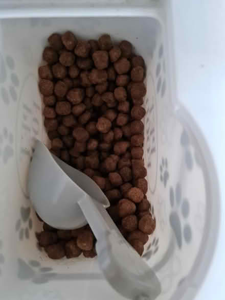 Photo of free Aldi dog food (TW16) #1