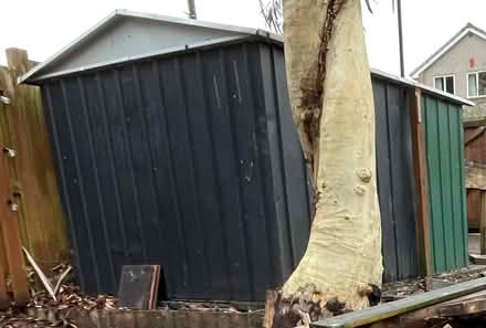 Photo of free Metal shed (S35 Oughtibridge) #3