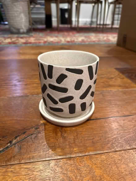 Photo of free Planter and dish (Soho) #1