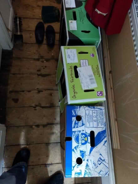 Photo of free Banana boxes (Marsh LA1) #1