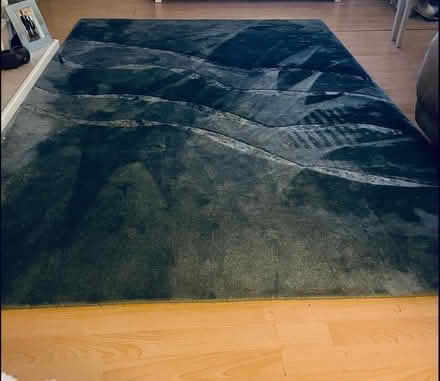 Photo of free Large rug (Winnersh) #1