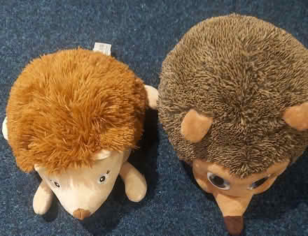 Photo of free Stuffed toys (Ashton Road, Oldham, OL8) #1