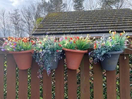 Photo of free Plastic flowers hanging baskets (West Moor NE12) #4