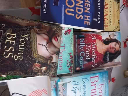 Photo of free 6 books (Crow Hills MK41) #1