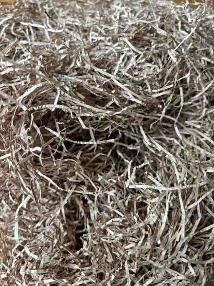 Photo of free Paper cuttings (Kippington TN13) #1