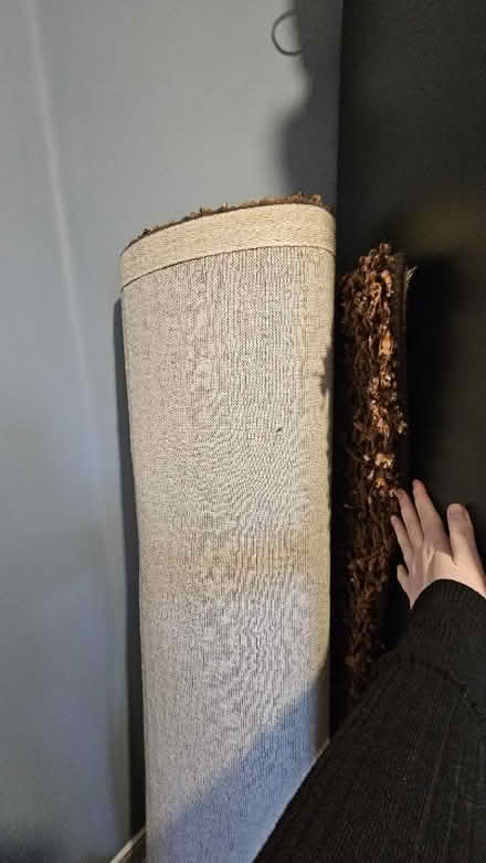 Photo of free Carpet (OX26, Kingsmere, Bicester) #1