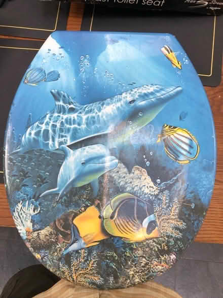 Photo of free Fancy Decorative toilet seat (Whetstone N20) #1