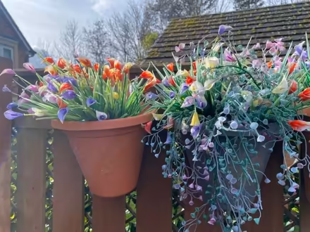 Photo of free Plastic flowers hanging baskets (West Moor NE12) #1