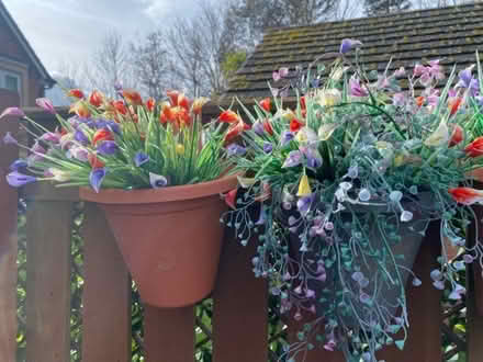Photo of free Plastic flowers hanging baskets (West Moor NE12) #1
