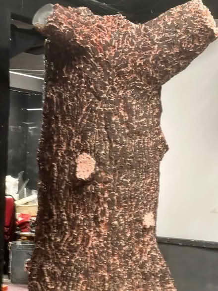 Photo of free Large fake tree/trunk -theatre set (University Area RG1) #1