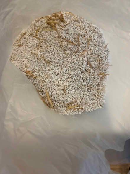 Photo of free Perlite (BN1 5 (off Dyke Rd)) #1