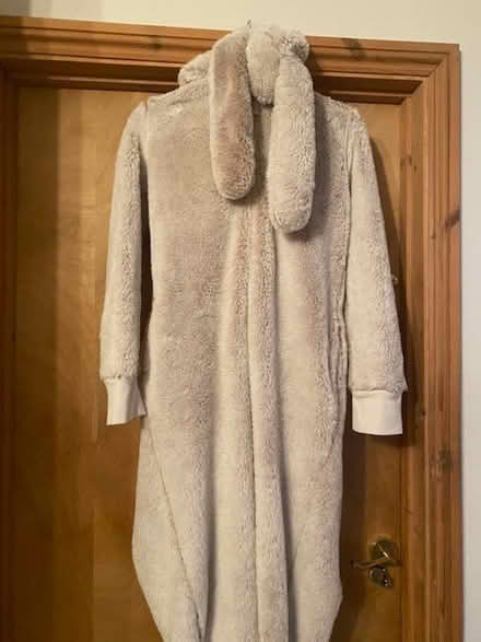 Photo of free Rabbit Onesie (M&S Size 10) (Ducklington OX29) #3