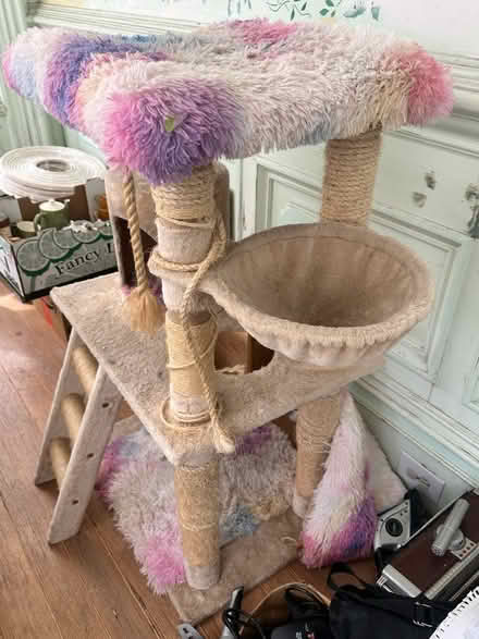 Photo of free Kitty Tree 🐈 (West Oakland) #2