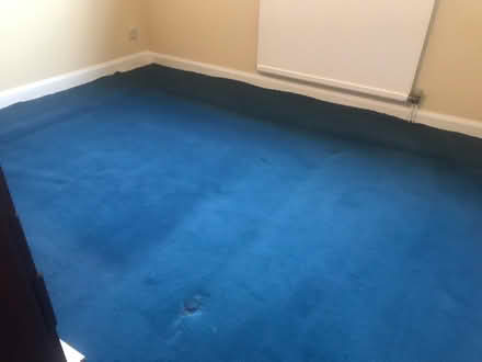 Photo of free Carpet (Chapeltown S35) #1