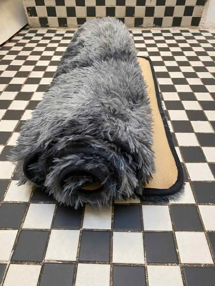 Photo of free Non-slip carpet / mat for pets (Archway, N19) #1