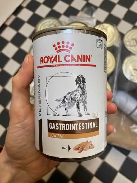 Photo of free Dog food (Royal Canin) (Archway, N19) #2