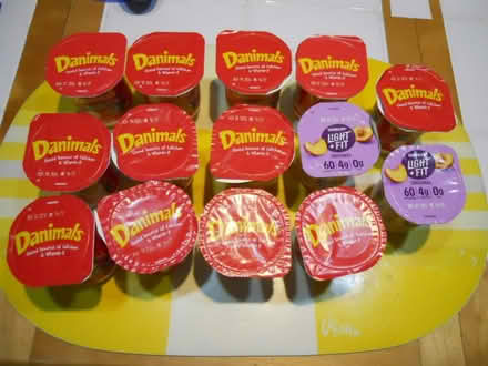 Photo of free Small Yogurts (King of Prussia) #1