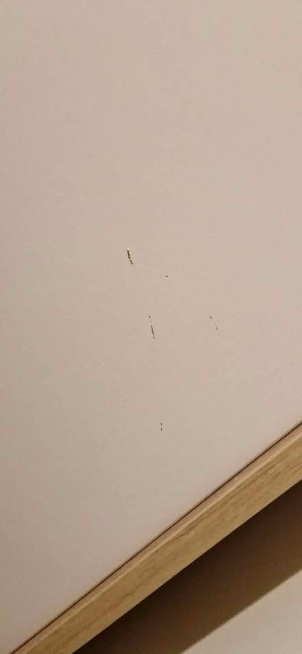 Photo of free 2x wardrobes (WR4, Worcester) #2