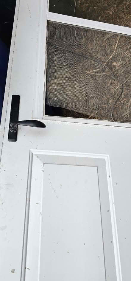 Photo of free Screen Door (Carlisle / Gibson) #2