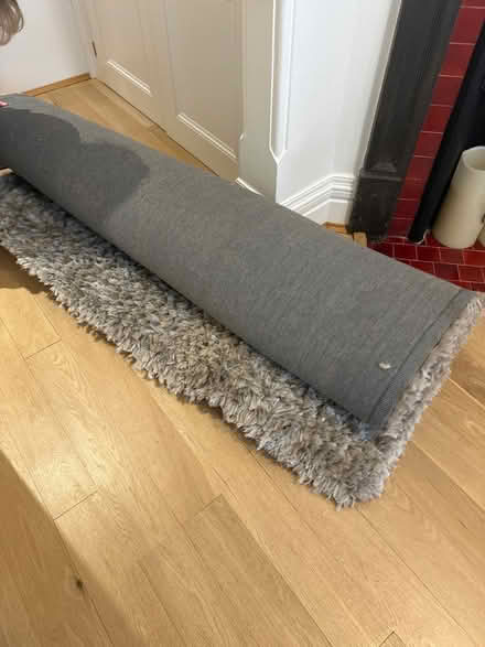 Photo of free large rug (kew gardens) #1