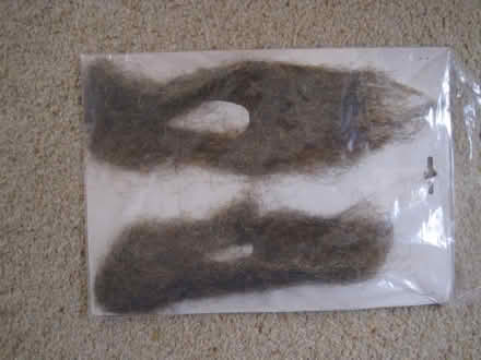 Photo of free Werewolf ears (Longley Green WR13) #2