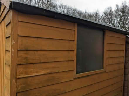 Photo of free Old shed (Middlewood S6) #4