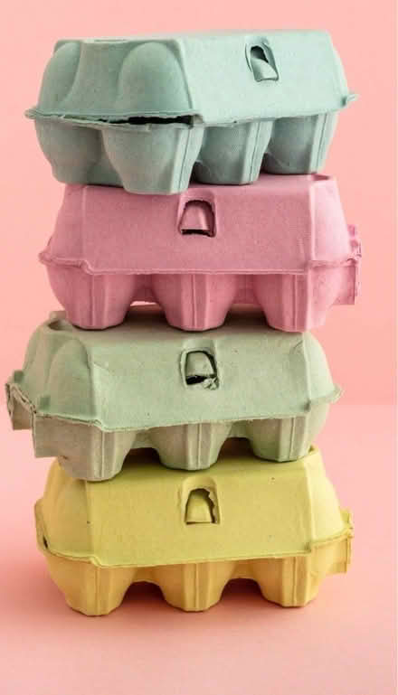 Photo of Empty Egg-boxes for 6 Eggs (Southwick) #1