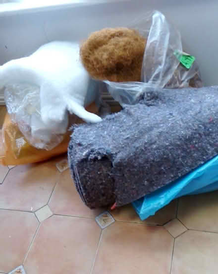 Photo of free Upholstery fillings (High Hesket CA4) #1
