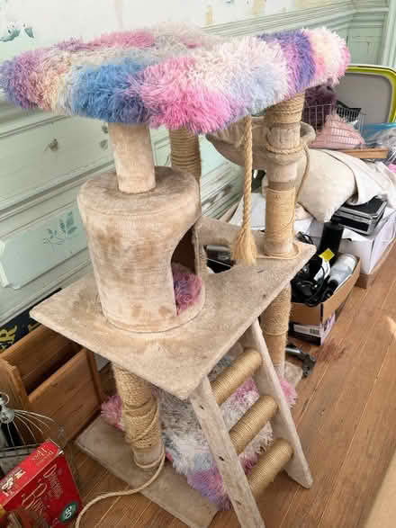 Photo of free Kitty Tree 🐈 (West Oakland) #1