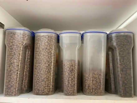 Photo of free Dog food (biscuits + tupperware) (Archway, N19) #1