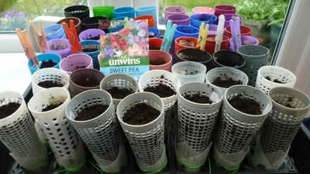Photo of free Plastic cones : for toys or root trainers (Inverkeithing KY11) #2