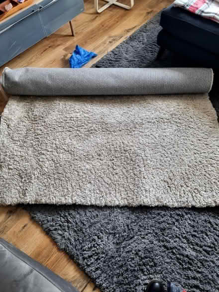 Photo of free Rug (Abbeyhill EH7) #1