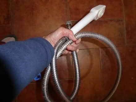 Photo of free shower hose, spray & riser (Westham, Weymouth DT4) #1
