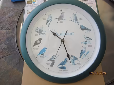 Photo of free Bird Clock (Pinellas Park 33781) #1
