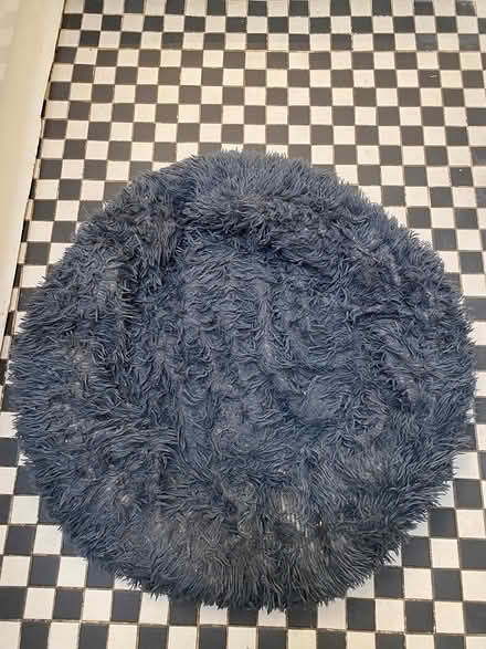 Photo of free Smaller dog bed (Archway, N19) #1