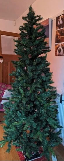 Photo of free Christmas Tree and baubles (Loughborough) #1