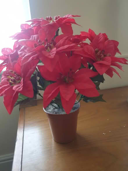 Photo of free Small Flowerpot (Dublin 16) #1