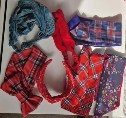 Photo of free Headbands hairbands hair clips (Merry Hill WD23) #3