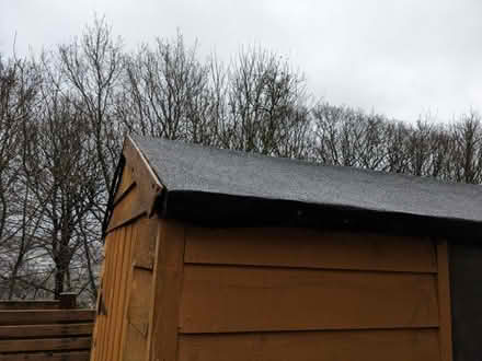 Photo of free Old shed (Middlewood S6) #2