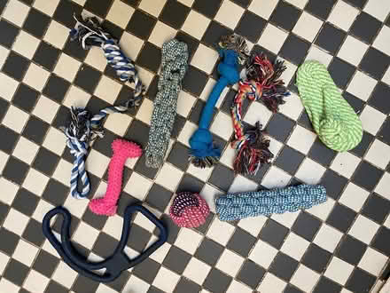 Photo of free Assorted dog toys (Archway, N19) #1
